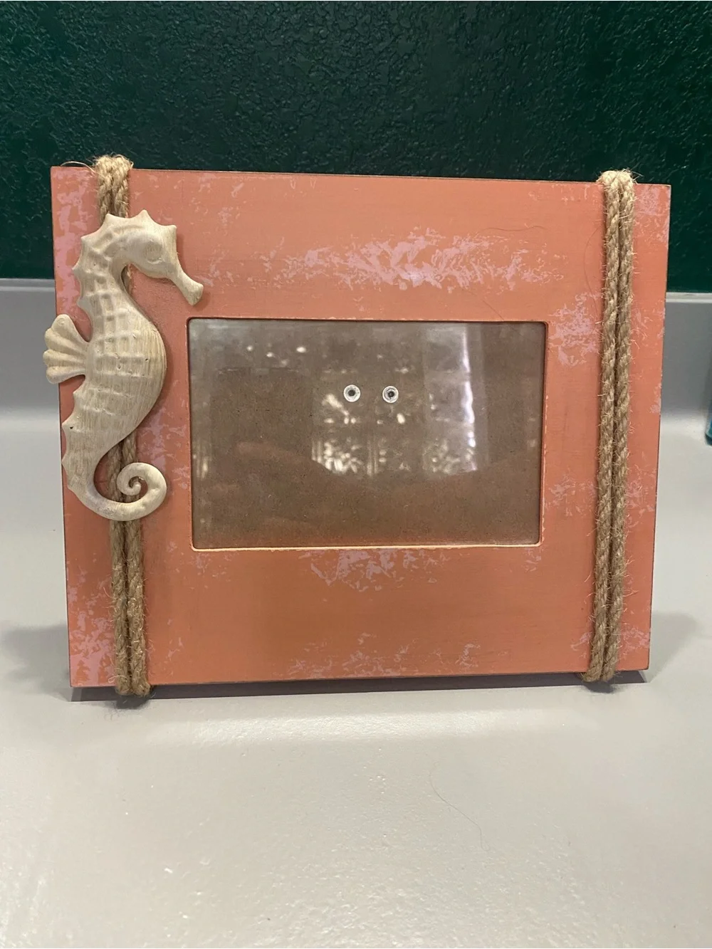 Seahorse Coral Picture Frame by